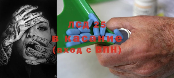 ПСИЛОЦИБИНОВЫЕ ГРИБЫ Бородино