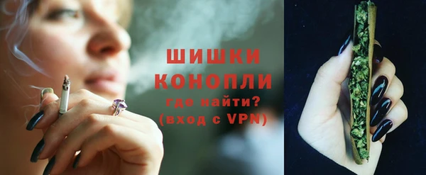 ПСИЛОЦИБИНОВЫЕ ГРИБЫ Бородино