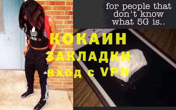 ПСИЛОЦИБИНОВЫЕ ГРИБЫ Бородино