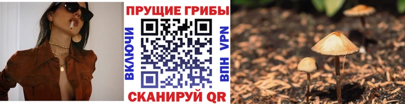 Галлюциногенные грибы ЛСД Губкинский