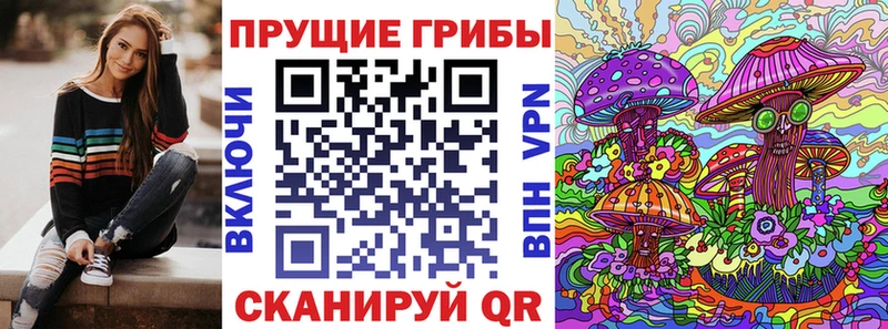 Купить закладки  Губкинский  Галлюциногенные грибы Magic Shrooms 